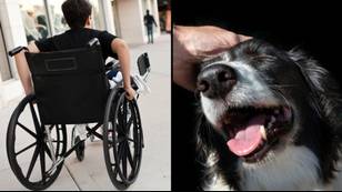 Woman defended after asking to touch 12-year-old’s wheelchair when he wanted to pet her dog