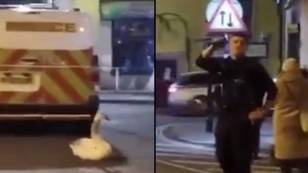 Police officer has perfect response to man who made Hot Fuzz joke during swan rescue