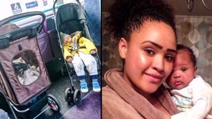 Cat In Pram Given Priority Over Baby On Bus