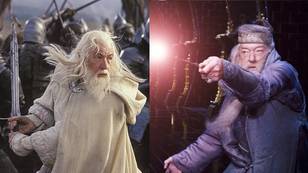 Sir Ian McKellen Reveals The Reason He Turned Down Playing Dumbledore