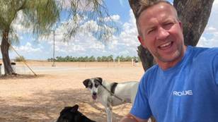 Pen Farthing And His Rescue Dogs To Board Afghanistan Evacuation Flight 