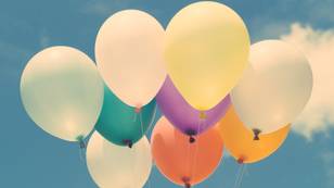 Australian City Votes To Ban Balloon Releases Due To Their Environmental Impact