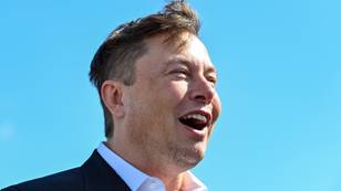 Elon Musk Wants To Create A Dog-Friendly City In Texas Called Starbase