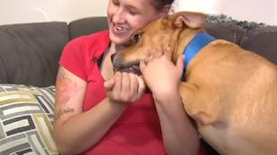 Woman Looking For Dog To Adopt Finds Pet Who Disappeared Two Years Ago
