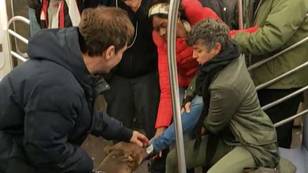 Woman Attacked By Pit Bull On New York City Subway