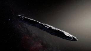 Scientists Reveal Info About First Ever Alien Object To Visit Our Solar System