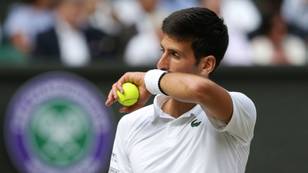 ​Novak Djokovic Explains Why He Eats Grass After Winning Wimbledon