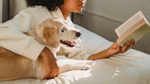 Women Sleep Better Next To Dogs Than Men According To Study