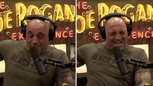 Joe Rogan Almost Throws Up After Sniffing Smelling Salts