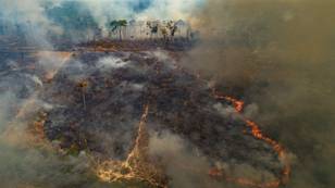 ​Amazon Rainforest 'Condemned To Destruction' With Fires Increasing Rapidly