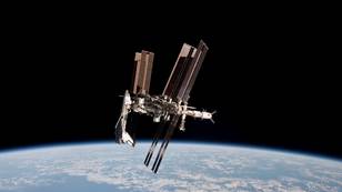Bacteria Found On International Space Station That Probably Isn't From Earth