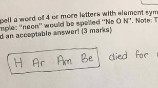 Science Teacher Gives Incredible Feedback On Bonus Exam Question