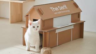 ​Samsung’s New Eco-Friendly TV Boxes Can Be Turned Into Cat Homes