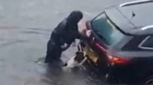 'Superhero' Dog Helps Push Car Stuck In Glasgow Floods To Safety