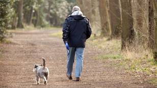 Dog Owners Could Face Unlimited Fine Over Little Known Law