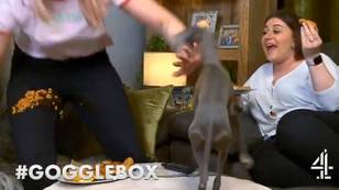 Gogglebox Star Responds After Being Accused Of 'Animal Abuse' Over Treatment Of Pooch