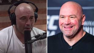 Joe Rogan Proposes Game-Changing Idea To Transform UFC Fights Forever