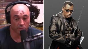 Joe Rogan Details Exactly How Close He Came To Fighting Wesley Snipes In The UFC