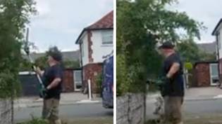 Man criticised after he cut down neighbour's tree because it was blocking driveway