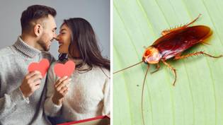 You can name a cockroach after your ex for Valentine's Day and feed it to an animal