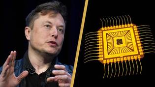 Elon Musk among experts calling for pause on AI due to ‘profound risks’