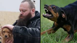 Dog expert warns first-time owners of breeds they shouldn't own