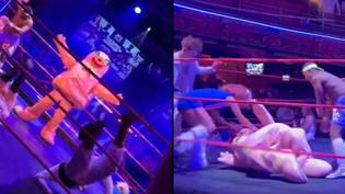 Mr Blobby makes wrestling return and gets smashed up in the ring during royal rumble
