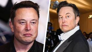 Court Documents Reveal Elon Musk Had Secret Twins With One Of His Top Executives
