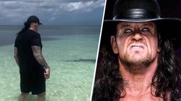 WWE star The Undertaker protects wife from shark attack in viral footage