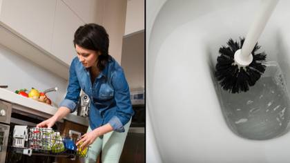 Woman divides opinion after putting toilet brush in the dishwasher