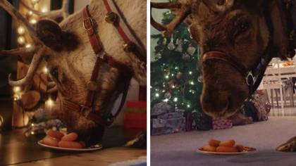 Parents can film reindeers in their home this Christmas