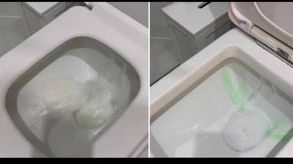 Woman has 1p hack for unblocking toilets and says it works in seconds