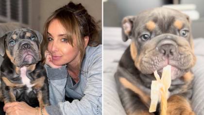 Louise Redknapp Responds To Concerns About Puppy's 'Dangerous' Dog Chew