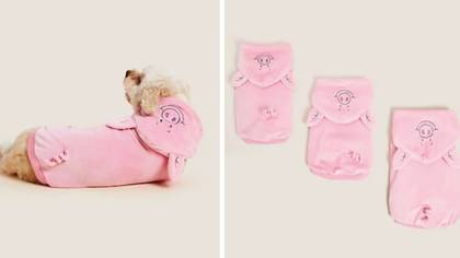 You Can Now Buy A Percy Pig Outfit For Your Dog