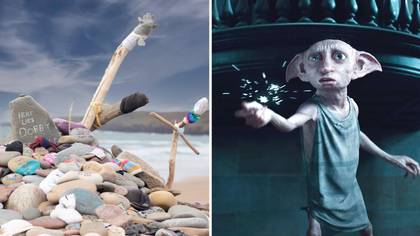 Dobby The House Elf's Grave Could Be Removed From UK Beach