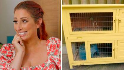 Stacey Solomon's TV show hit with over 1,500 animal cruelty complaints