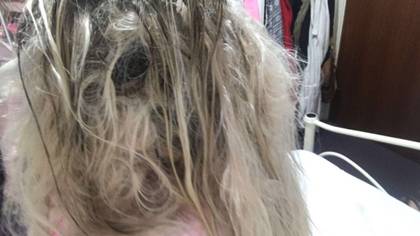 Woman's £500 Extensions Ruined By Schoolboy Error