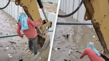 Quick-Thinking Construction Workers Use Digger To Rescue Washed Away Dog