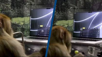 Elon Musk's Neuralink shares first footage of monkey telepathically typing