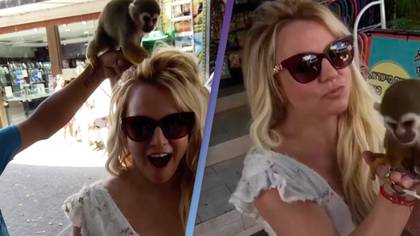 Britney Spears slammed by fans for posing with monkey in bizarre video
