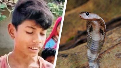 Boy kills cobra by biting it after snake wrapped itself round him