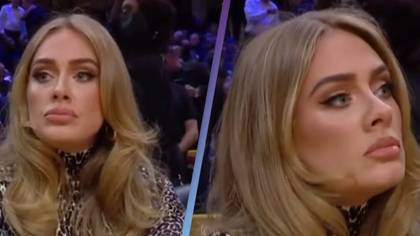 Adele Defended By Fans Over Reaction To Camera In Her Face