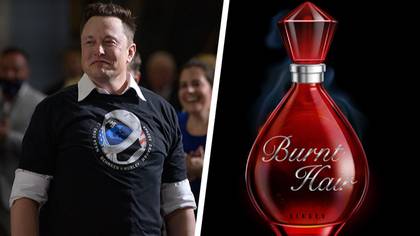 Elon Musk announces he's selling his first fragrance that smells like burnt hair