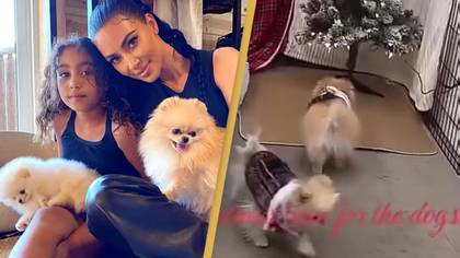 Kim Kardashian warned by PETA after sharing video of her dogs