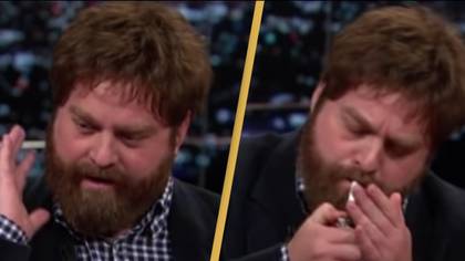 Fans say Zach Galifianakis 'doesn't care what people think' as he lights up 'joint' during discussion on drug legalization