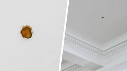 Artist Threw A McDonald’s Cheeseburger Pickle Onto The Roof And Wants $9,000 For The ‘Artwork’