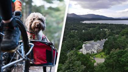 The pawfect guide to visiting Scotland
