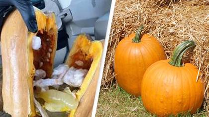 $402K worth of meth discovered stashed inside pumpkins