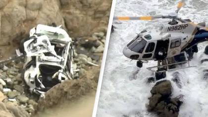Forensic crash expert explains how Tesla passengers survived falling off cliff