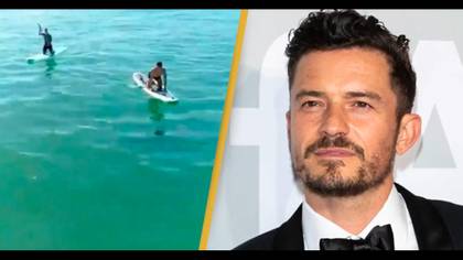 Orlando Bloom encounters great white shark in unnerving video